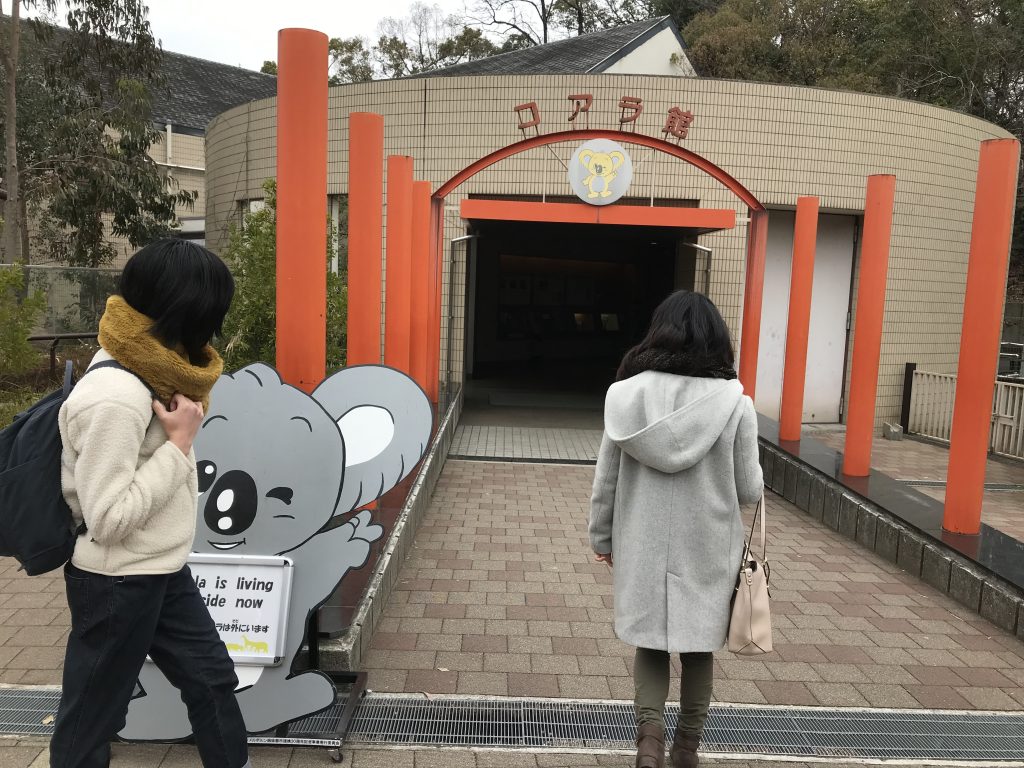 天王寺動物園 コアラ館