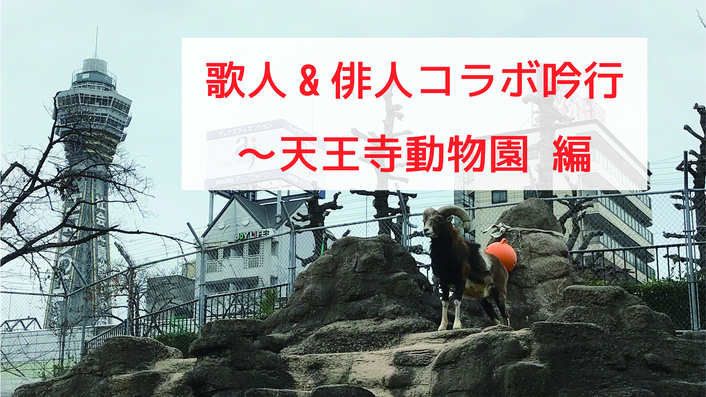 歌人 俳人コラボ吟行 天王寺動物園 前編 ページ 2 Tankaness