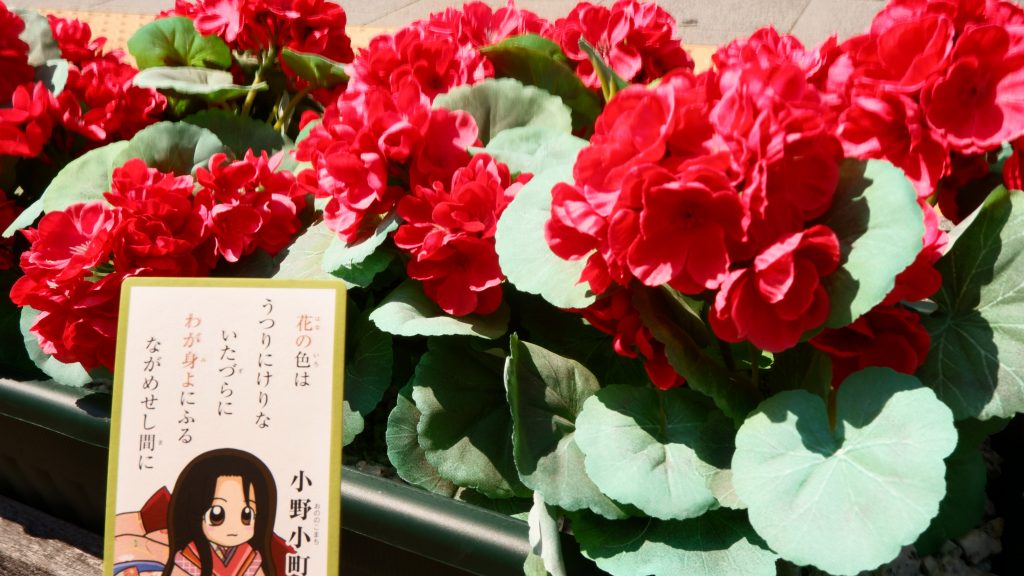 しょんぼり百人一首 ２ ワガママ美女 小野小町 お騒がせ天皇陽成院 Tankaness